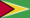 Guyana flag