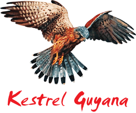 Kestrel Guyana logo